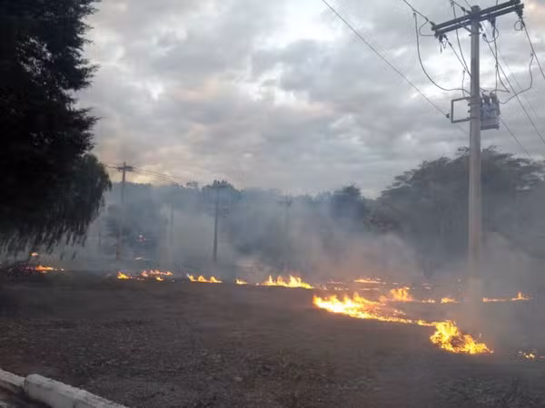 Queimada próxima à rede elétrica em área de vegetação no Norte de Minas Gerais.